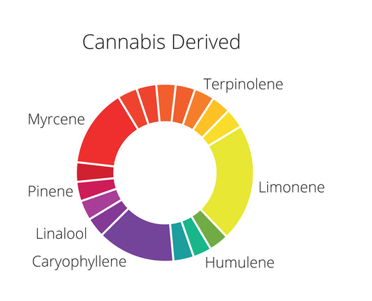 What are Terpenes?